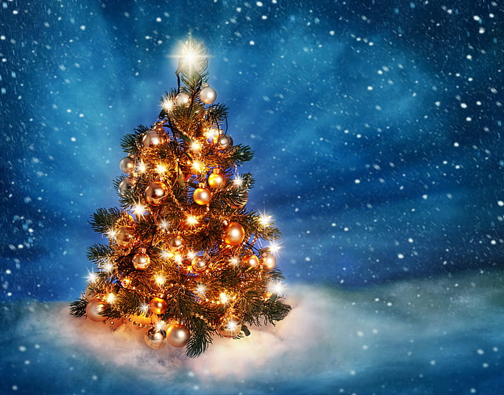 New Year, Christmas Tree, Merry Christmas, snow, ice, decoration, HD wallpaper