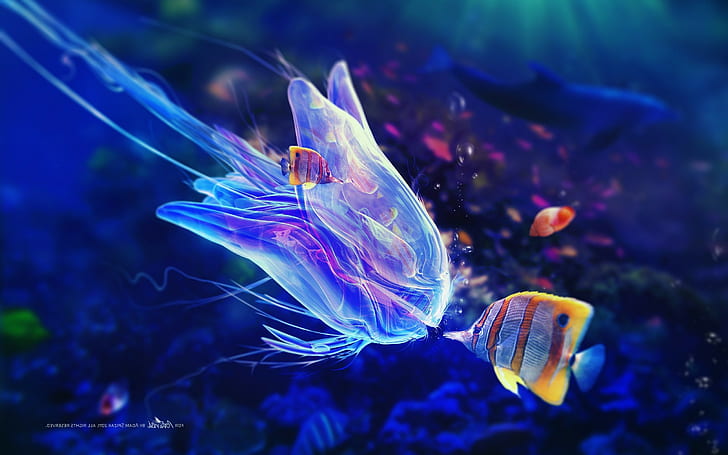 adam spizak digital art fish underwater, animal themes, animal wildlife