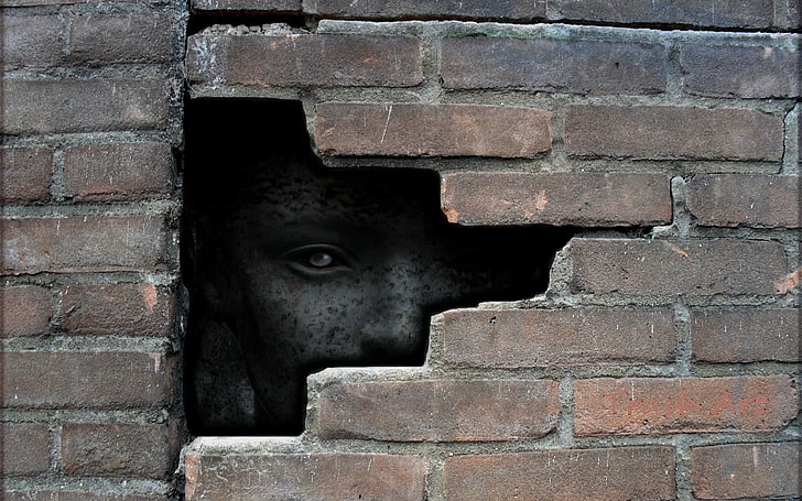 face, spooky, wall, bricks, wall - building feature, brick wall
