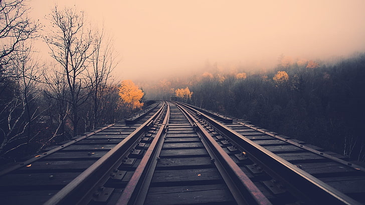brown and red train rails, railway, landscape, dusk, trees, fall, HD wallpaper