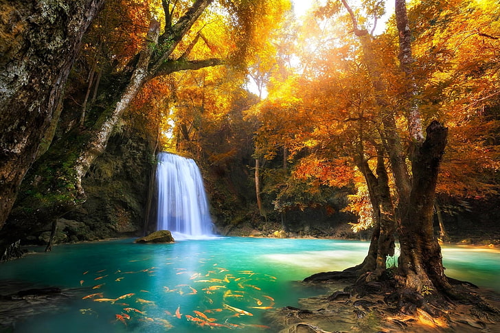 Waterfalls, Erawan Waterfall, Fish, Foliage, Forest, Nature, HD wallpaper
