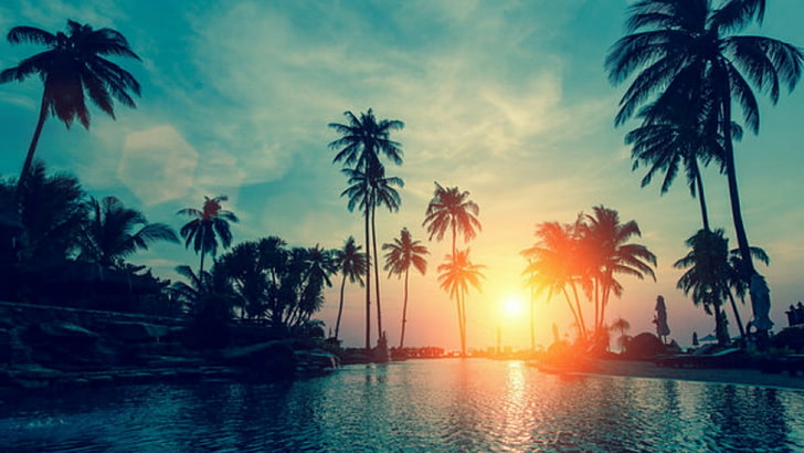 nature, sky, palm tree, sunset, sea, evening, sunlight, tropical climate, HD wallpaper