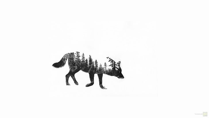 black wolf illustration, fantasy art, forest, animal, horse, mammal