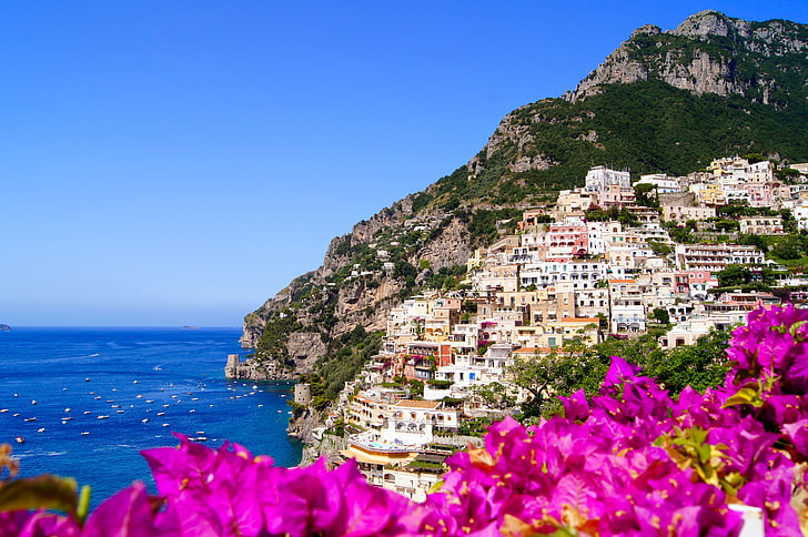 pink flowers, nature, the city, rocks, coast, home, Italy, Amalfi