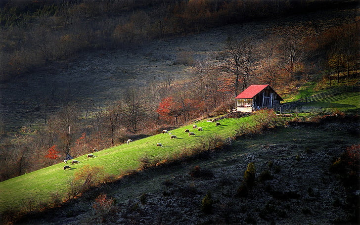landscapes, serbia, HD wallpaper
