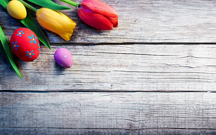 Easter, eggs, Krashenki, flowers, tulips, celebration, plank, HD wallpaper