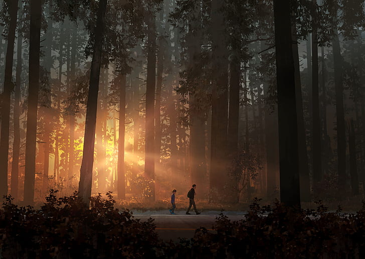 120 Life Is Strange HD Wallpapers and Backgrounds