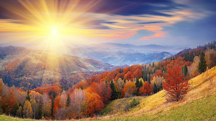 sunbeam, rays, sun ray, autumn, hillside, forest, autumn colors, HD wallpaper