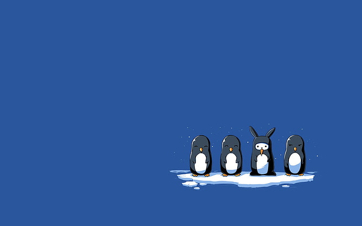 penguins clip art, simple, minimalism, rabbits, ice, blue, humor, HD wallpaper