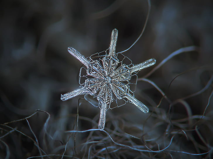 selective photo of crystal snow flake, snowflake, winter, christmas