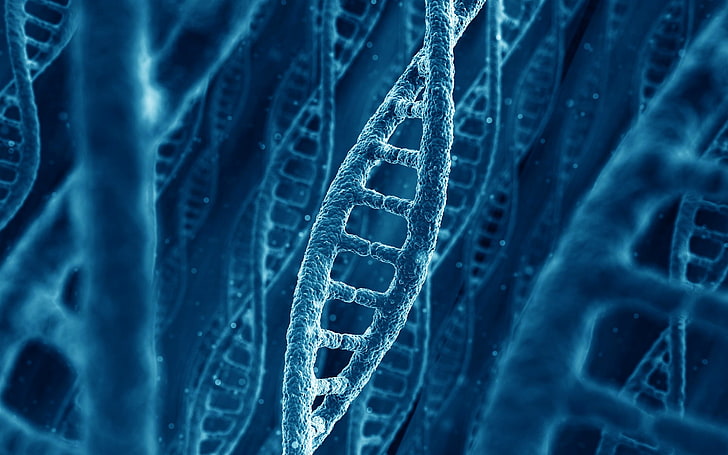 A DNA chain 1080P, 2K, 4K, 5K HD wallpapers free download | Wallpaper Flare