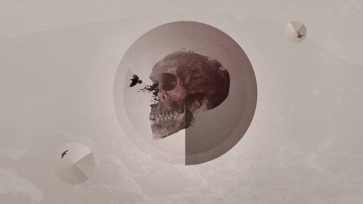 skull illustration, digital art, teeth, artwork, birds, raven