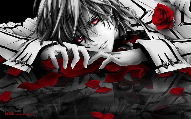 Vampire Knight, red, art and craft, no people, representation