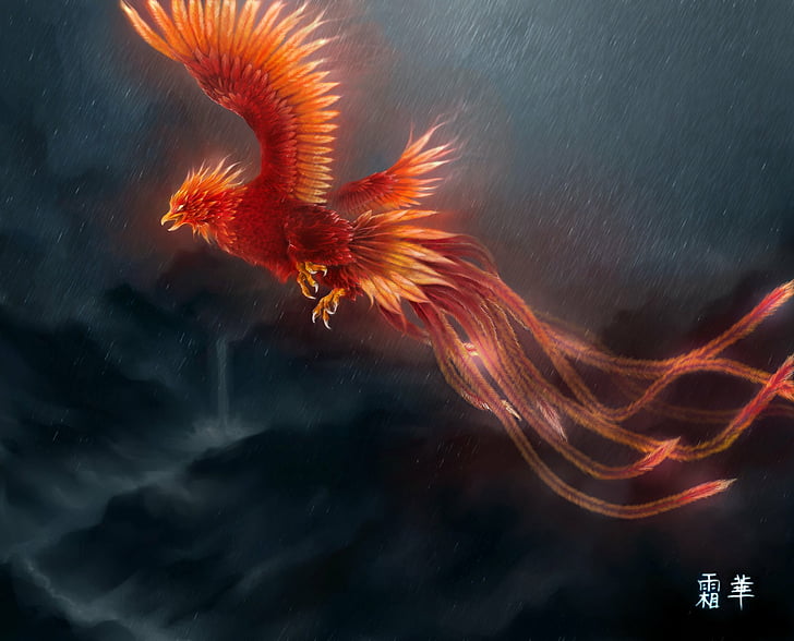 HD wallpaper: Fantasy Animals, Phoenix, Artistic, Bird | Wallpaper Flare