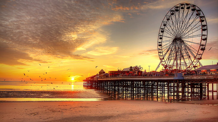 black ferris wheel, sunset, beach, UK, pier, Blackpool, birds