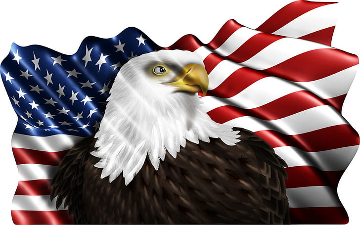 Hd Wallpaper American Eagle Flag Sticker Symbol Of The Americans Wallpaper Hd For Mobile Free Download 19 10 Wallpaper Flare
