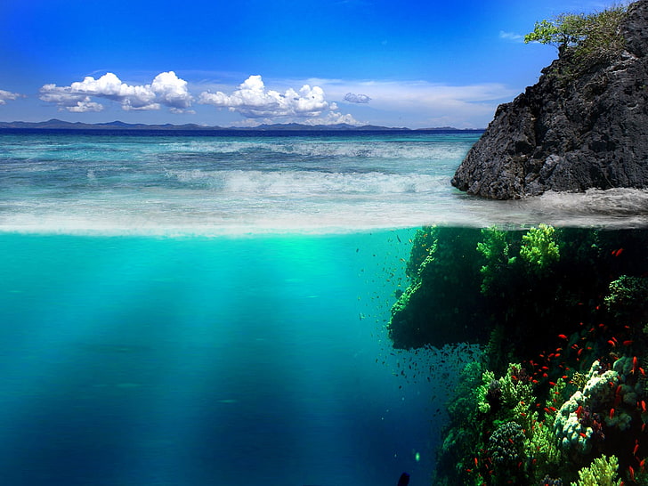body of water, sea, coast, rocks, underwater world, vegetation, HD wallpaper