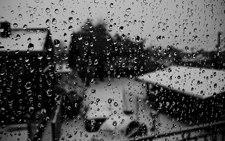 water droplets, rain, glass, monochrome, blurred, water drops