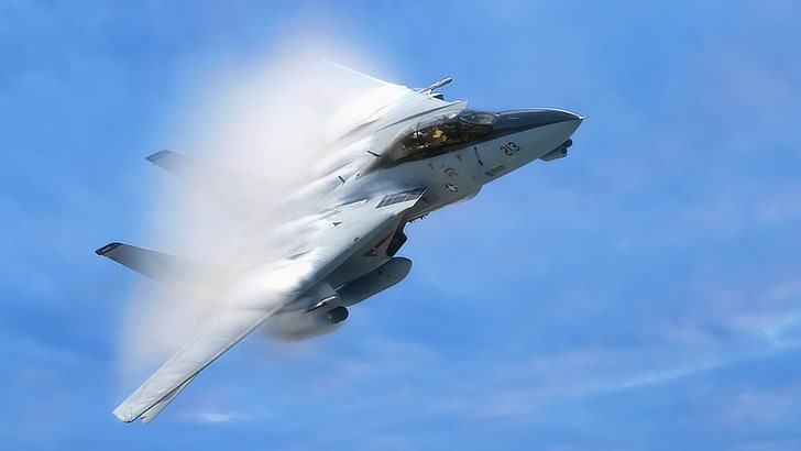warplanes, F-14 Tomcat, aircraft, sonic booms, flying, sky, HD wallpaper