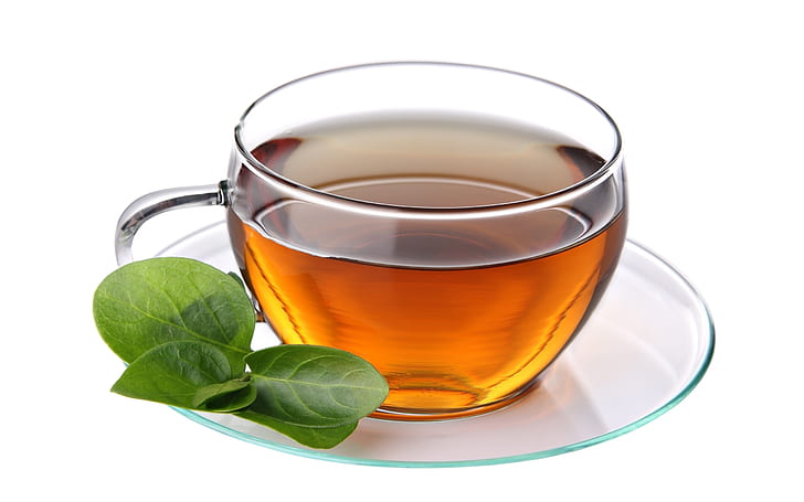Cup of Green Tea, drink, liquid, HD wallpaper