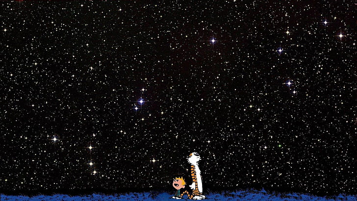 Calvin and Hobbes Starfield HD, comic, HD wallpaper