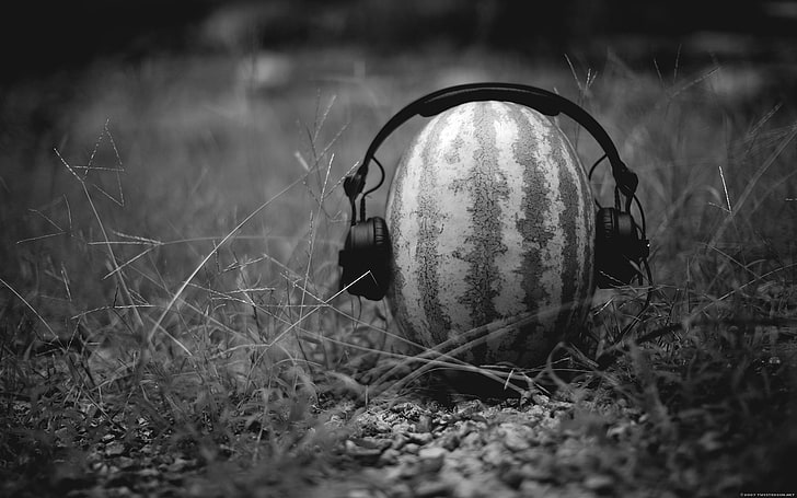 grayscale photo of watermelon and headphones, monochrome, watermelons