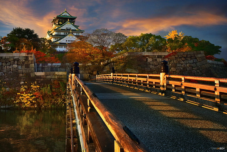 Castles, Osaka Castle, Bridge, Fall, Japan, tree, architecture