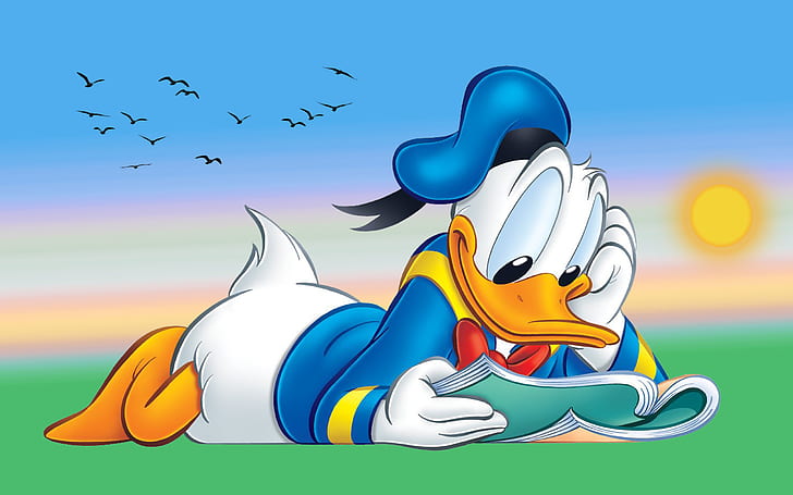 Donald Duck Cartoon Reading Book Desktop Hd Wallpaper For Tablet And Pc 2560×1600