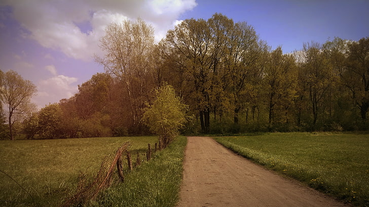 green grass, Poland, spring, forest, landscape, dirt road, tree, HD wallpaper