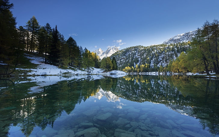 calm water and pine trees, nature, landscape, lake, snow, forest