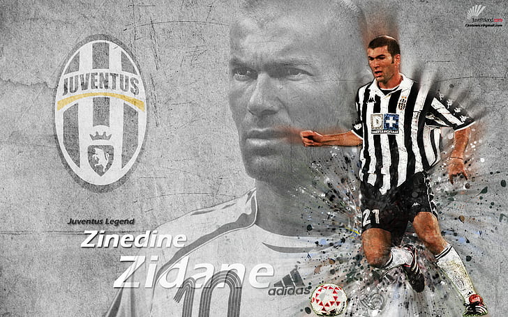 Soccer, Zinedine Zidane, French, Juventus F.C., HD wallpaper