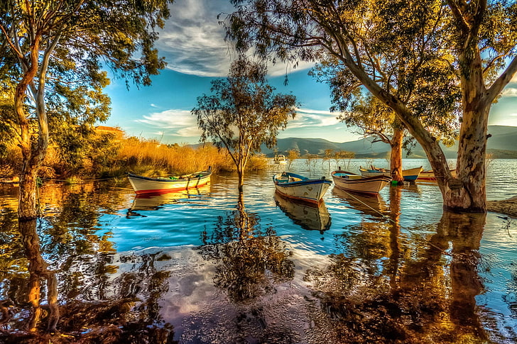 nature, lake, boat, water, tree, nautical vessel, plant, reflection