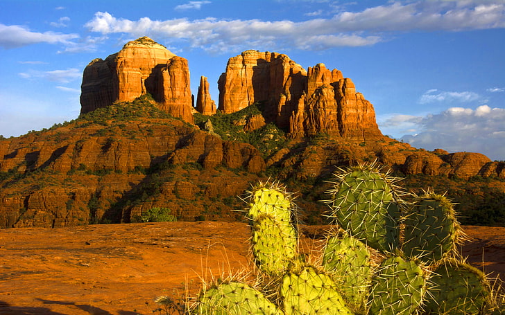 Sedona-Arizona-USА Cathedral Rock Sunset Cactus Desktop Wallpaper Download Free 3865×2416