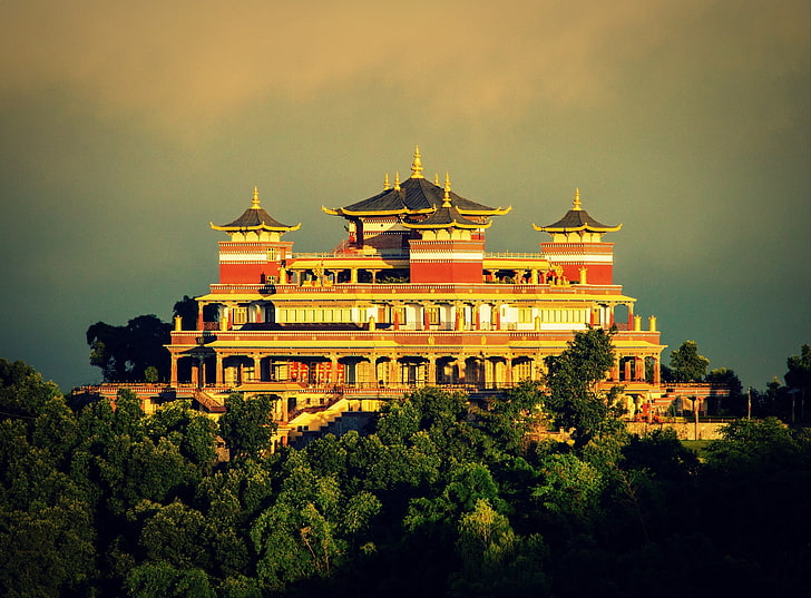 Nepal, Kathmandu, monastery, architecture, tree, plant, built structure