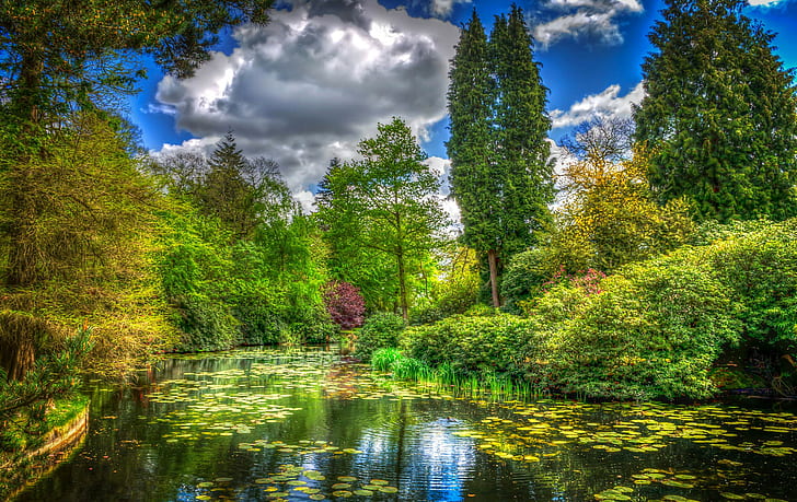 England, Tatton Park, green leaf treee, clouds, trees, grass, HD wallpaper