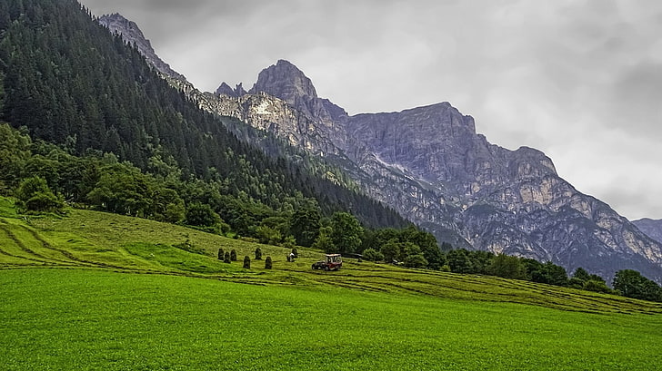 green grass field, landscape, nature, mountains, forest, Alps