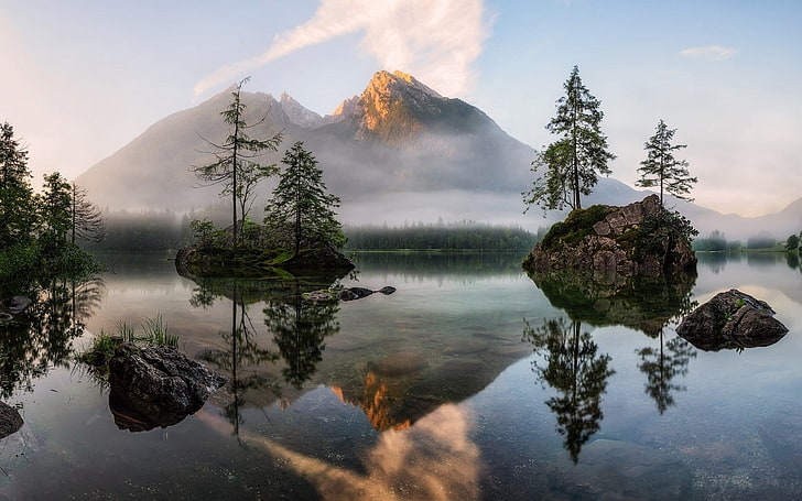 nature, landscape, lake, mist, forest, trees, reflection, water