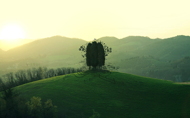 trees, mountains, grass, scenics - nature, beauty in nature