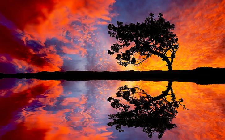 Tree Clouds Sunset Reflection Silhouette HD, nature