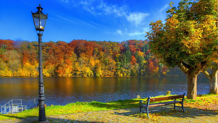 best pictures of nature hd picture 1920x1080, autumn, tree, HD wallpaper
