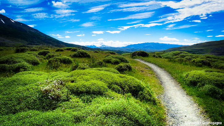 pathway between green grass field, torres del paine, patagonia