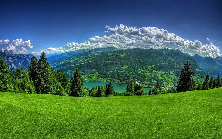 green leafed tree, greens, grass, mountains, slope, lake, trees, HD wallpaper