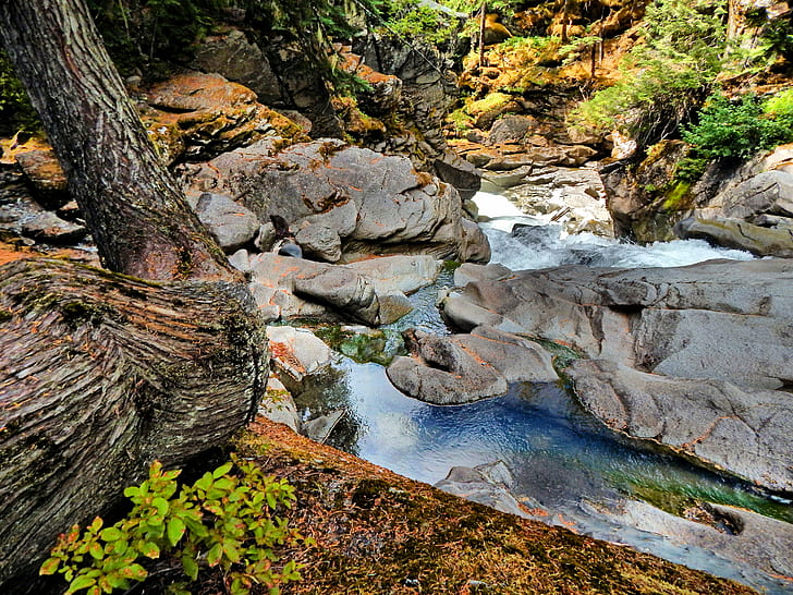 water flowing on rock formation in forest, white river, white river