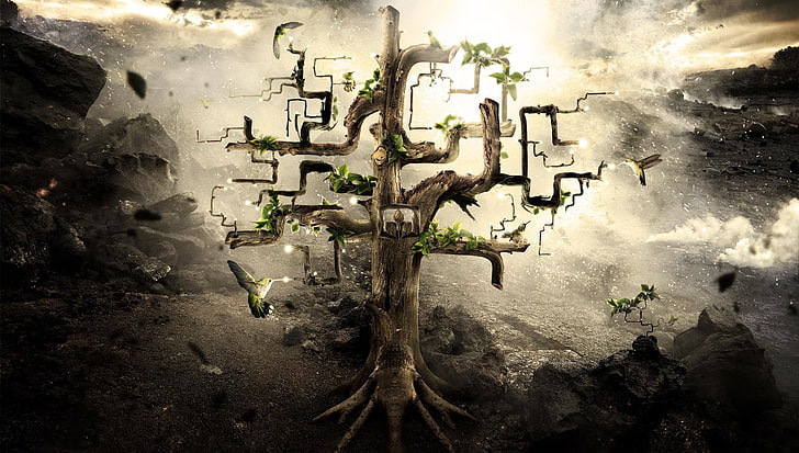 green leafed tree, digital art, artwork, Desktopography, nature, HD wallpaper