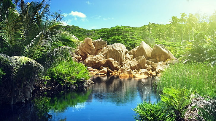 landscape, rock, stone, palm, jungle, palms, reflection, vacation, HD wallpaper