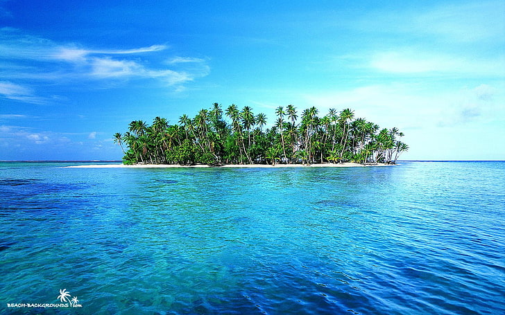 island, sea, palm trees, water, sky, beauty in nature, plant