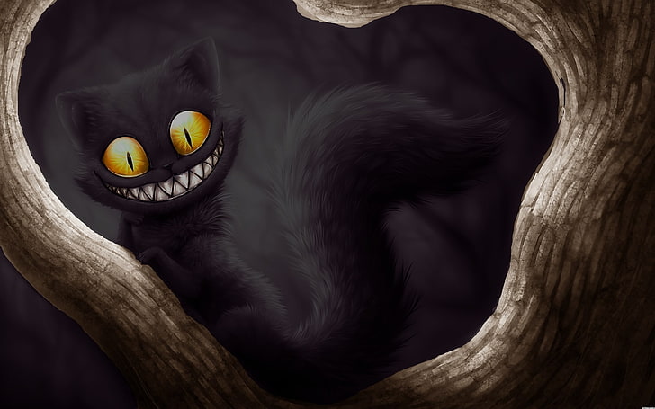 cheshire cat beautiful pictures for, no people, animal, one animal