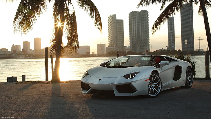 white luxury car, Lamborghini Aventador, palm trees, cityscape