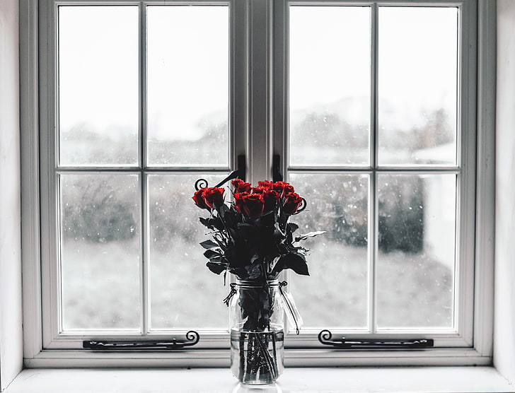 red rose flowers centerpiece, roses, bouquet, vase, window, transparent