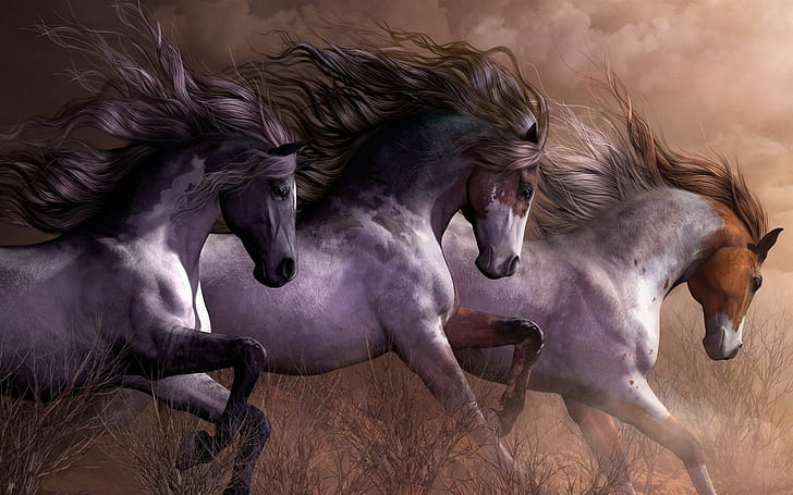 Three horses 1080P, 2K, 4K, 5K HD wallpapers free download | Wallpaper Flare